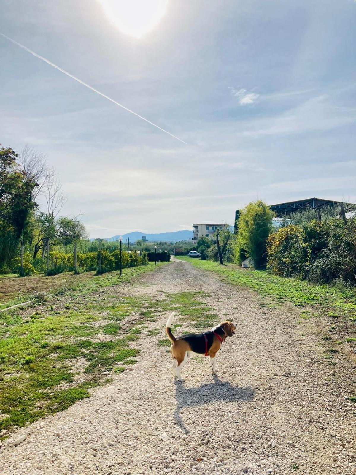 Villa Bubù, Appartamento Country-chic Roma Esterno foto