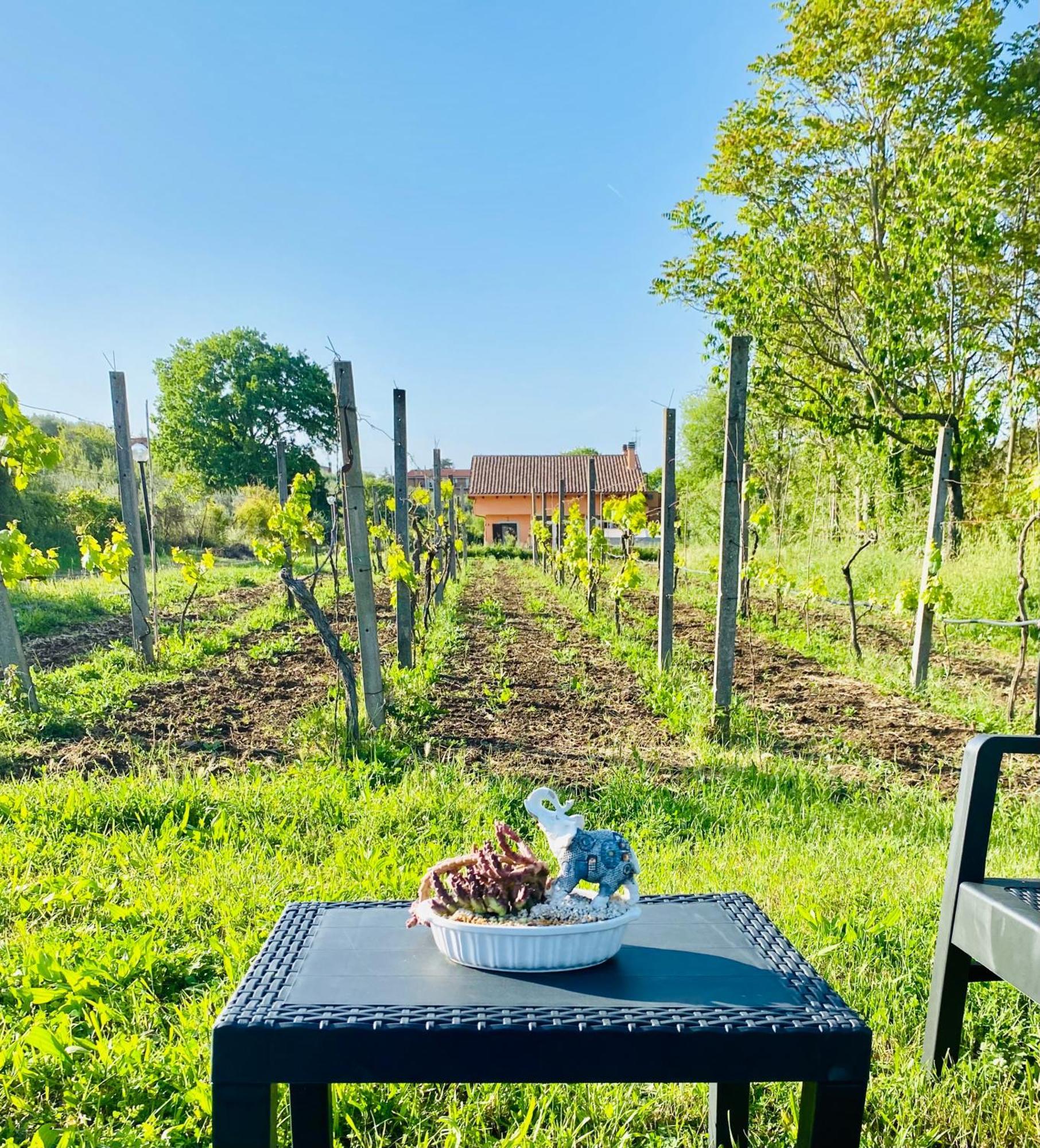 Villa Bubù, Appartamento Country-chic Roma Esterno foto