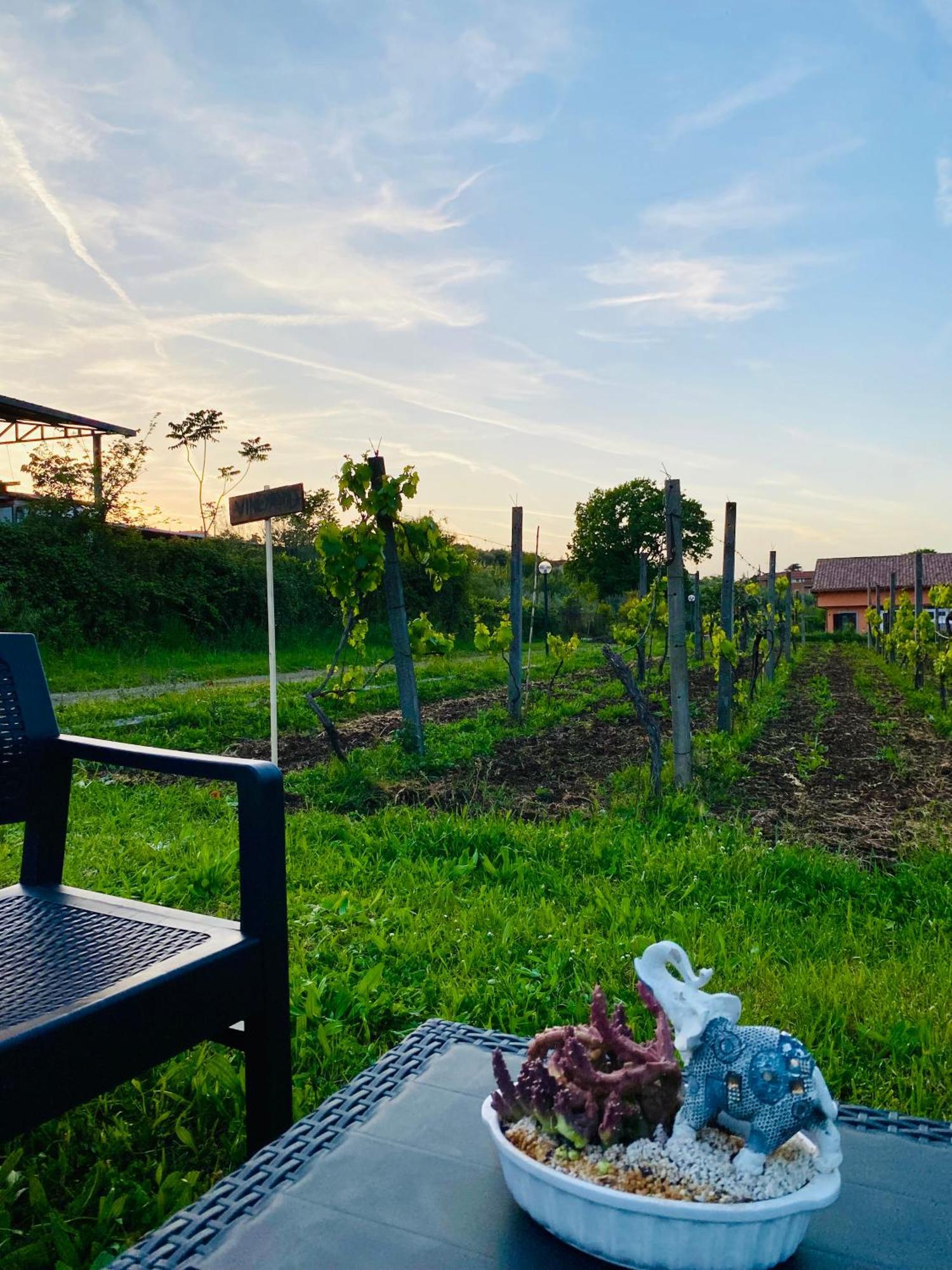 Villa Bubù, Appartamento Country-chic Roma Esterno foto